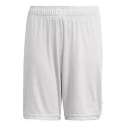 Boys' Adidas Tastigo Shorts