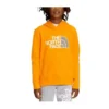 Boys' The North Face Camp Fleece Hoodie -Cheap Clothing Store 19601341518
