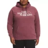 Women's The North Face Plus Graphic Injection Hoodie