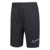 Boys' Nike Academy Shorts